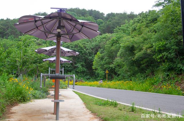走进这里 你就是我眼中最美的一道风景 江夏环山绿道 走进这里 你就是我眼中最美的一道风景 江夏环山绿道