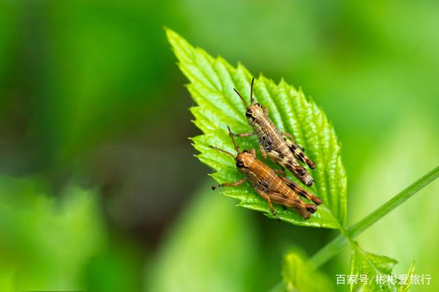 走进这里 你就是我眼中最美的一道风景 江夏环山绿道 走进这里 你就是我眼中最美的一道风景 江夏环山绿道