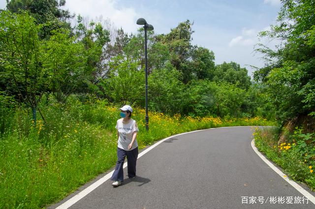 走进这里 你就是我眼中最美的一道风景 江夏环山绿道 走进这里 你就是我眼中最美的一道风景 江夏环山绿道