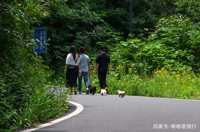 走进这里 你就是我眼中最美的一道风景 江夏环山绿道 走进这里 你就是我眼中最美的一道风景 江夏环山绿道