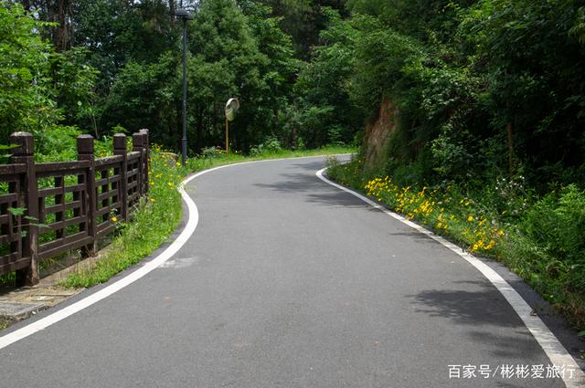 走进这里 你就是我眼中最美的一道风景 江夏环山绿道 走进这里 你就是我眼中最美的一道风景 江夏环山绿道