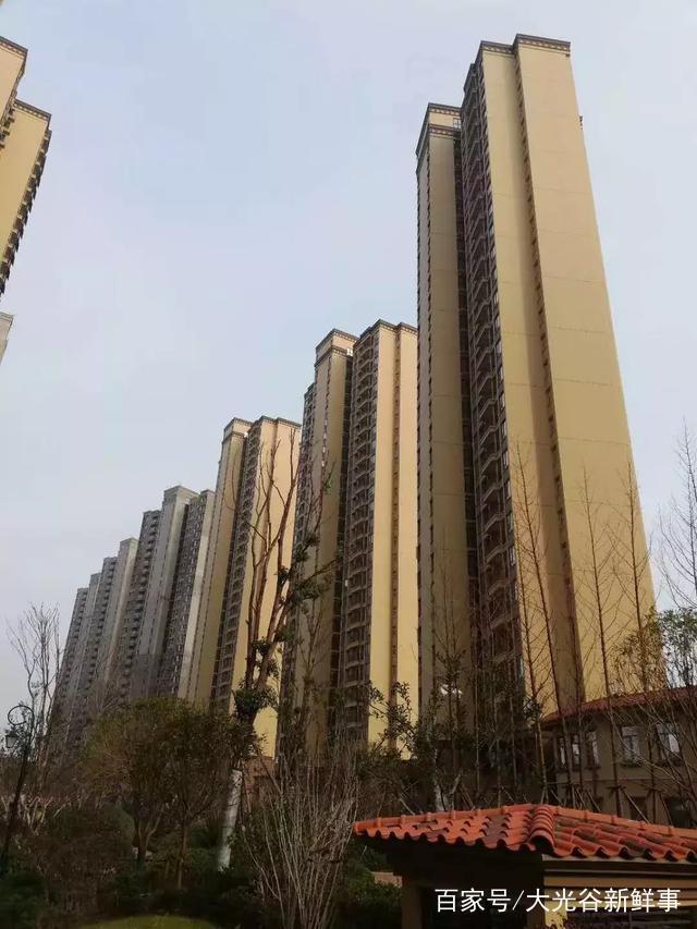 武汉江夏各小区物业费现状!从0.6元到3.3元,你家物业费是多少 武汉江夏各小区物业费现状!从0.6元到3.3元,你家物业费是多少