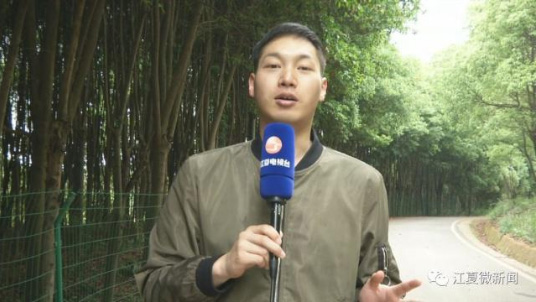 散个步提心吊胆!江夏人觉得汽车该上环山路吗? 散个步提心吊胆!江夏人觉得汽车该上环山路吗?