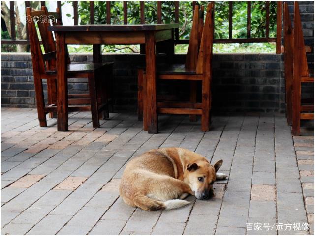 走进武汉江夏小朱湾,感受美丽村落春之魅力和文化品位 走进武汉江夏小朱湾,感受美丽村落春之魅力和文化品位