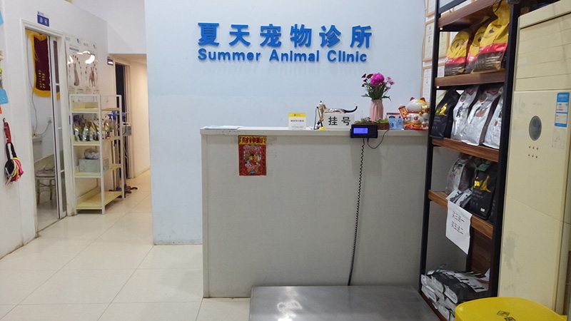 夏天宠物诊所 夏天宠物诊所