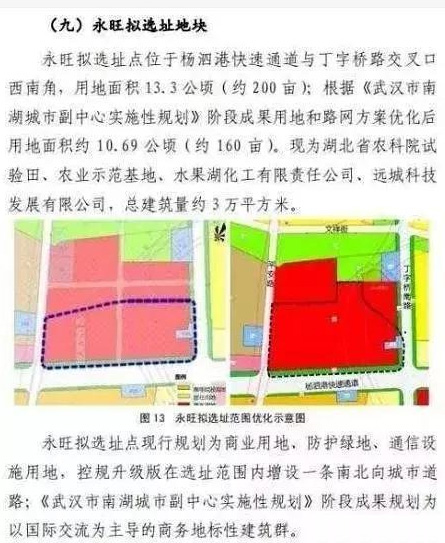 最新消息！江夏永旺项目意向地块正在做挂牌前的准备工作！