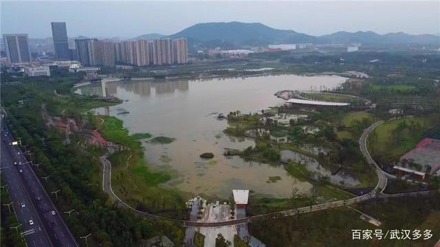 鸟瞰江夏中央大公园 鸟瞰江夏中央大公园