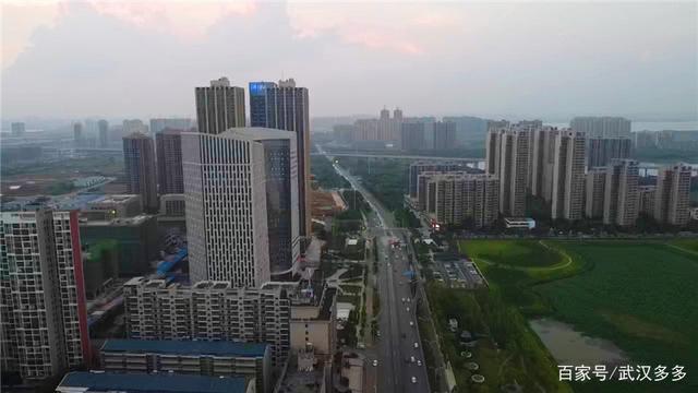 鸟瞰江夏中央大公园 鸟瞰江夏中央大公园