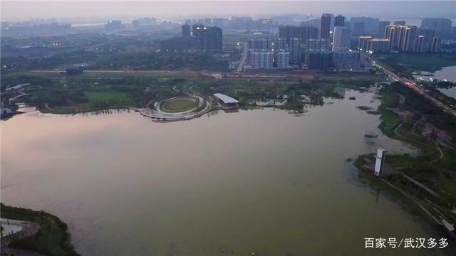 鸟瞰江夏中央大公园 鸟瞰江夏中央大公园