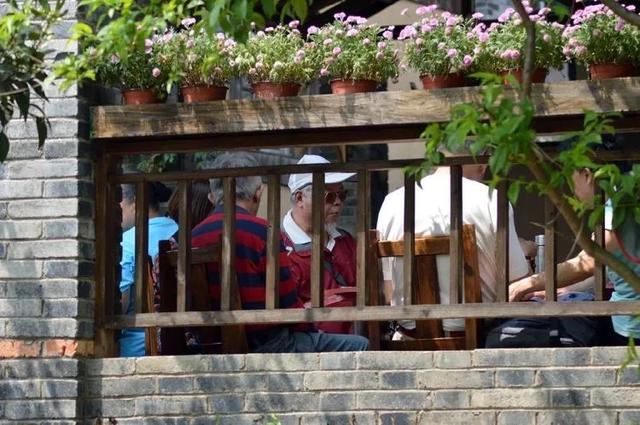 江夏探索:小朱湾颜值抢睛,农庄老板乐开怀! 江夏探索:小朱湾颜值抢睛,农庄老板乐开怀!