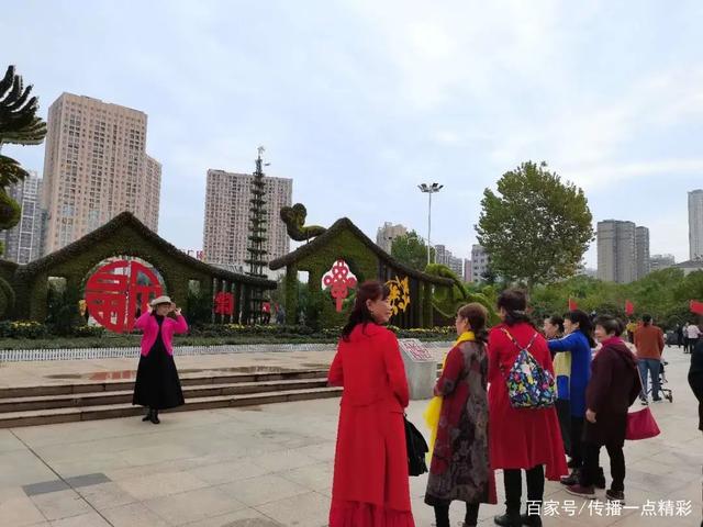 武汉江夏世纪广场已成为花的海洋,快来看菊花展 武汉江夏世纪广场已成为花的海洋,快来看菊花展