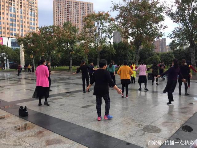 武汉江夏世纪广场已成为花的海洋,快来看菊花展 武汉江夏世纪广场已成为花的海洋,快来看菊花展