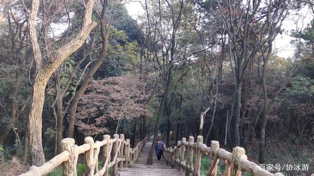 江夏这座山高不过300m,却游人如织,被誉为武汉最具自然特色的山 江夏这座山高不过300m,却游人如织,被誉为武汉最具自然特色的山