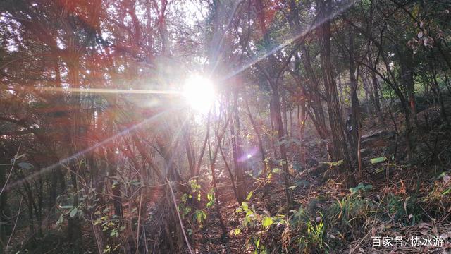江夏这座山高不过300m,却游人如织,被誉为武汉最具自然特色的山 江夏这座山高不过300m,却游人如织,被誉为武汉最具自然特色的山