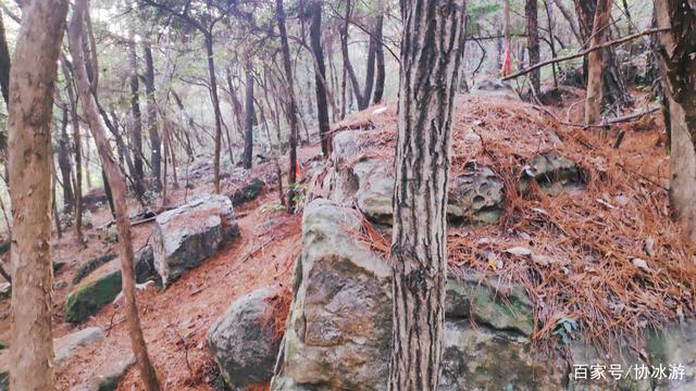 江夏这座山高不过300m,却游人如织,被誉为武汉最具自然特色的山 江夏这座山高不过300m,却游人如织,被誉为武汉最具自然特色的山
