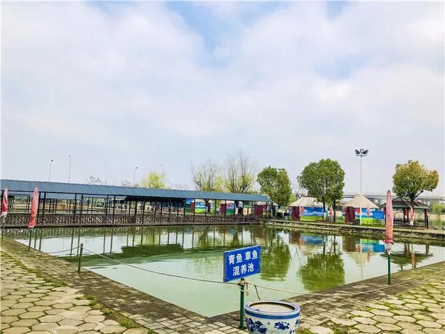就在江夏的宝藏度假村,精致风雅媲美小江南,周末新去处 就在江夏的宝藏度假村,精致风雅媲美小江南,周末新去处