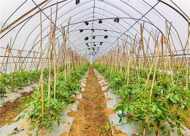 就在江夏的宝藏度假村,精致风雅媲美小江南,周末新去处 就在江夏的宝藏度假村,精致风雅媲美小江南,周末新去处