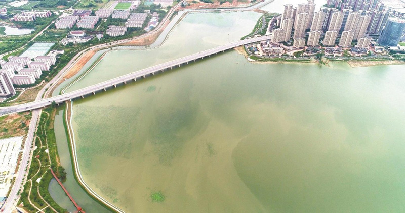 湖水无边 美景归来——江夏区湖泊治理见闻 湖水无边 美景归来——江夏区湖泊治理见闻