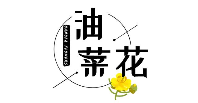 江夏这几个地方的油菜花开了,真美啊!附赏花指南 江夏这几个地方的油菜花开了,真美啊!附赏花指南