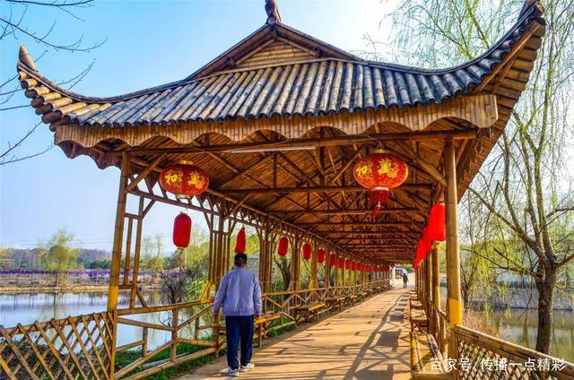 江夏这几个地方的油菜花开了,真美啊!附赏花指南 江夏这几个地方的油菜花开了,真美啊!附赏花指南