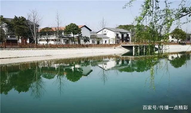 江夏这几个地方的油菜花开了,真美啊!附赏花指南 江夏这几个地方的油菜花开了,真美啊!附赏花指南