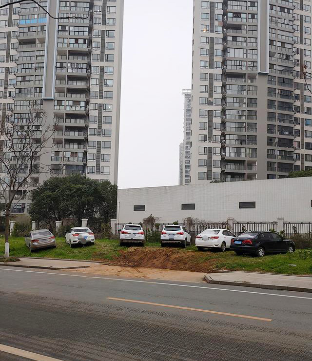 江夏庙山一小区旁：汽车停上绿化带，草坪“伤痕累累”