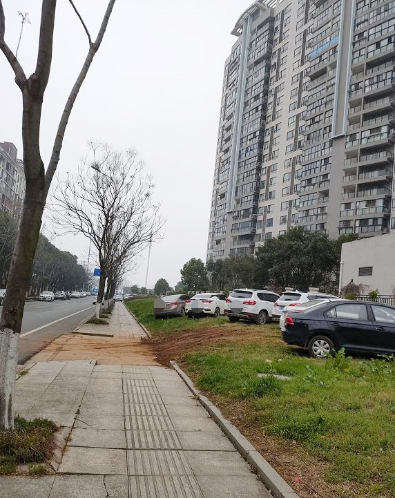 江夏庙山一小区旁：汽车停上绿化带，草坪“伤痕累累”