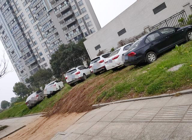 江夏庙山一小区旁：汽车停上绿化带，草坪“伤痕累累”