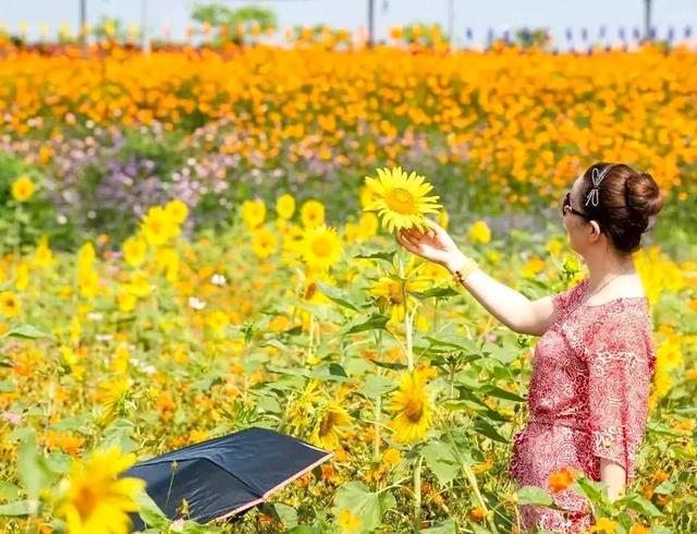 武汉那么大 周末去江夏 | 2021江夏春季文旅活动推荐! 武汉那么大 周末去江夏 | 2021江夏春季文旅活动推荐!