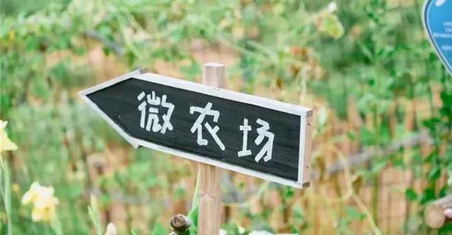 武汉那么大 周末去江夏 | 2021江夏春季文旅活动推荐! 武汉那么大 周末去江夏 | 2021江夏春季文旅活动推荐!
