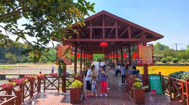 武汉那么大 周末去江夏 | 2021江夏春季文旅活动推荐! 武汉那么大 周末去江夏 | 2021江夏春季文旅活动推荐!
