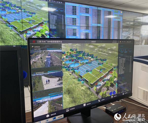 武汉市江夏区实施“清水入江”工程守护城市水安全