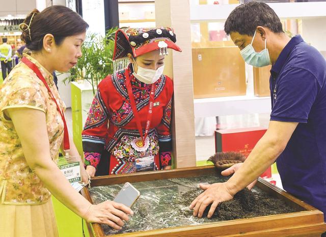 第23届武汉茶博会在武汉国际会展中心开幕