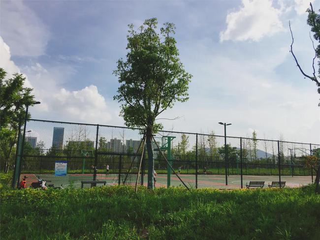 好消息！江夏中央大公园的运动场预计10月前后开放！