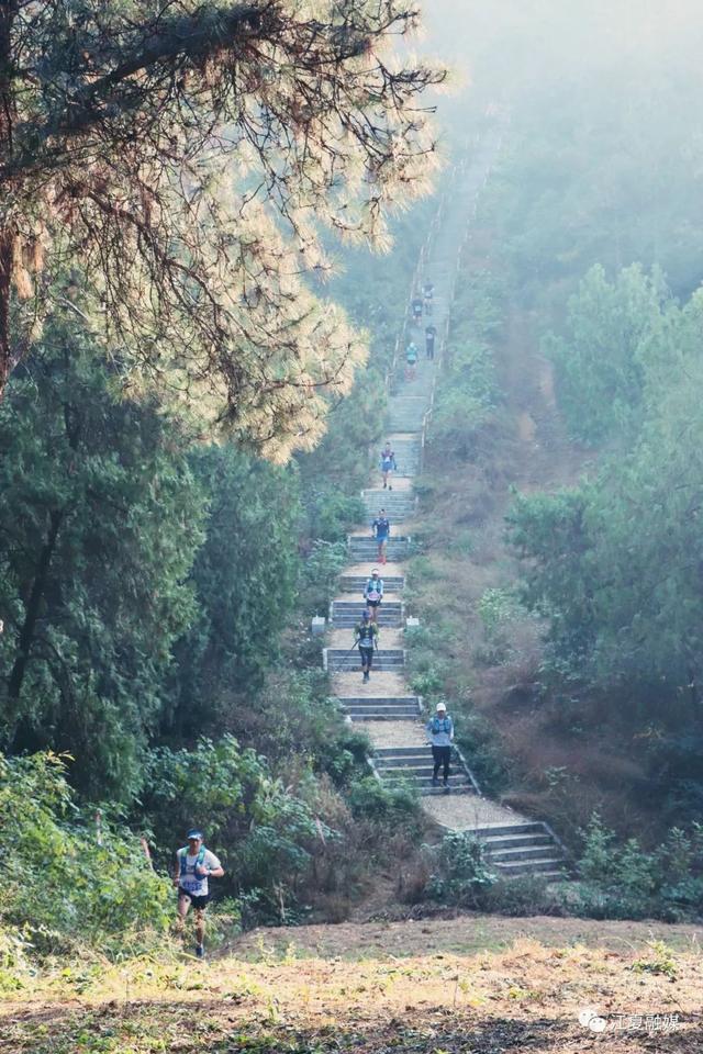 跑山,跑山!江夏登山节今日举行 跑山,跑山!江夏登山节今日举行