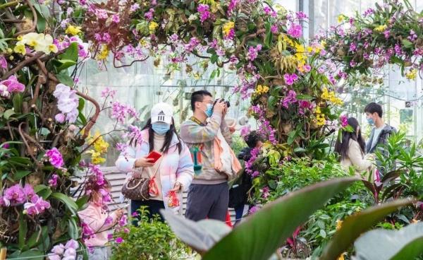 2022第一个小长假,游客在武汉植物园玩嗨了 2022第一个小长假,游客在武汉植物园玩嗨了