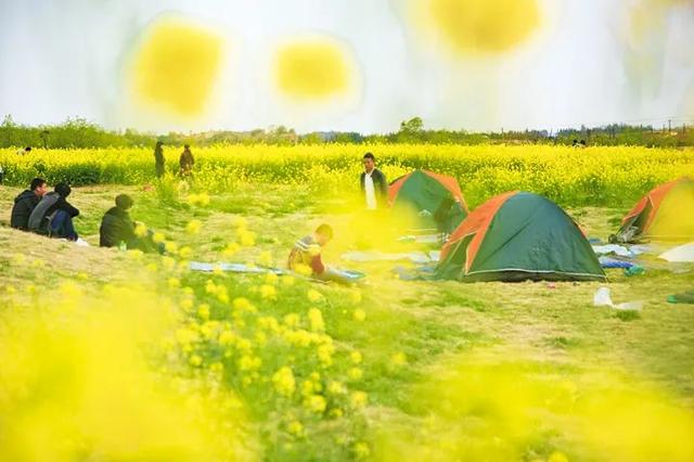 官宣！江夏这片花海上了“2022湖北最美”推介名单！