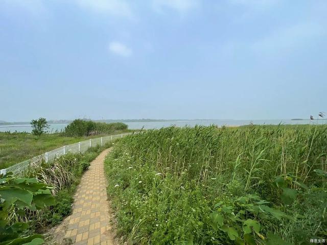 分享一个江夏适合露营玩水的地方,趁还没火赶紧去 分享一个江夏适合露营玩水的地方,趁还没火赶紧去