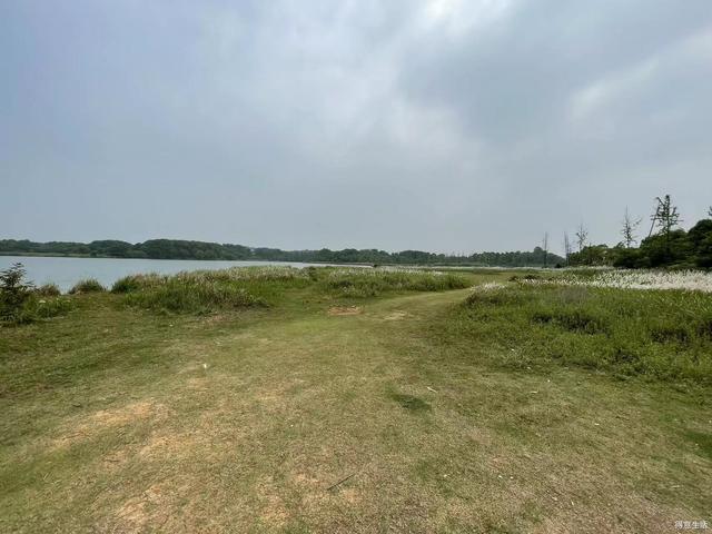 分享一个江夏适合露营玩水的地方,趁还没火赶紧去 分享一个江夏适合露营玩水的地方,趁还没火赶紧去