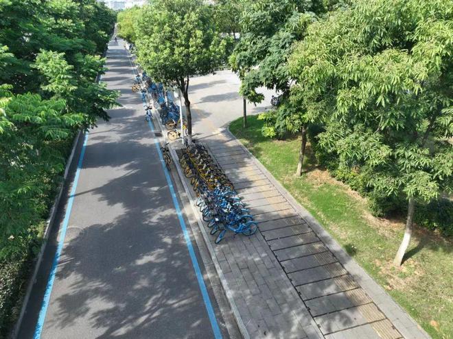 共享单车“任性”停放,江夏城管清理1万余辆 共享单车“任性”停放,江夏城管清理1万余辆