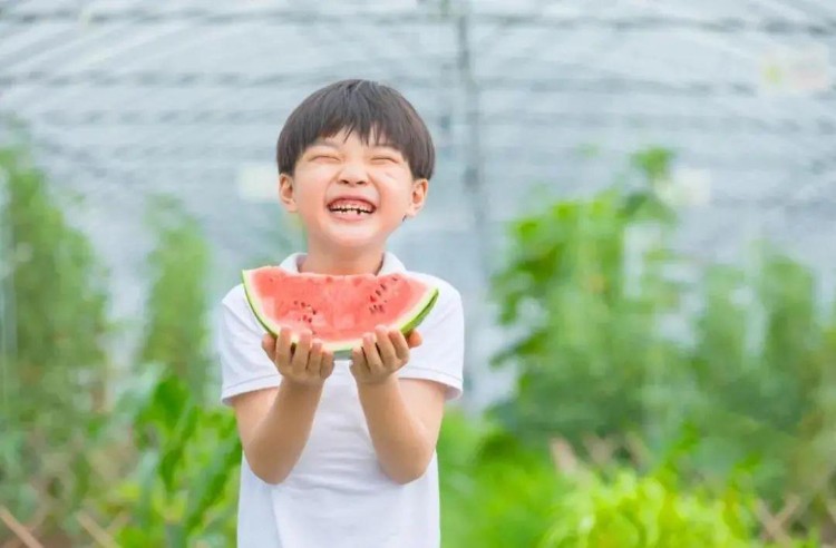 江夏避暑圣地云稼慢乡(江夏五里界群益村) 江夏避暑圣地云稼慢乡(江夏五里界群益村)
