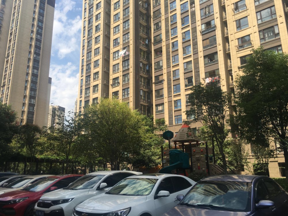 江夏区,大花岭板块,文化大道旁的“俪湖天地”小区评测 江夏区,大花岭板块,文化大道旁的“俪湖天地”小区评测