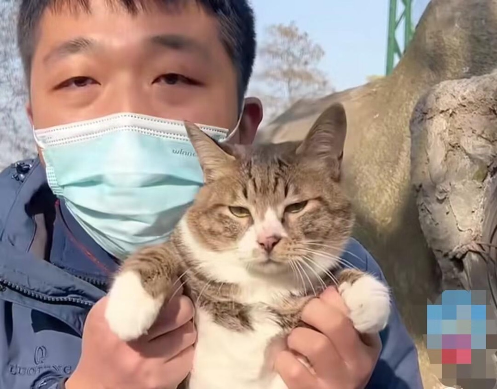 “武汉杂技猫”爆火全网!工作人员称它自愿演出,原因养猫人都懂 “武汉杂技猫”爆火全网!工作人员称它自愿演出,原因养猫人都懂