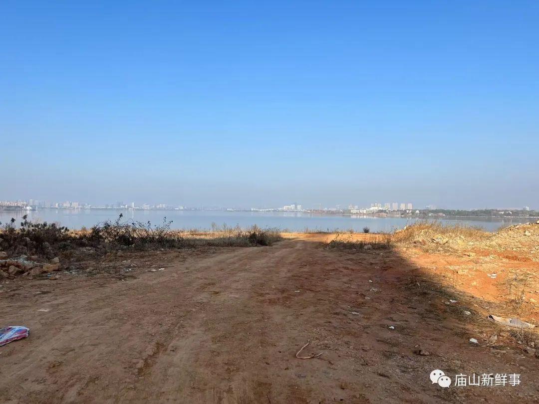 江夏这里是否规划环湖公园?能否建设湖边绿道?消息来了! 江夏这里是否规划环湖公园?能否建设湖边绿道?消息来了!