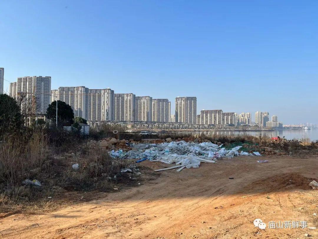 江夏这里是否规划环湖公园?能否建设湖边绿道?消息来了! 江夏这里是否规划环湖公园?能否建设湖边绿道?消息来了!
