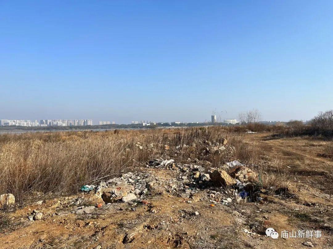 江夏这里是否规划环湖公园?能否建设湖边绿道?消息来了! 江夏这里是否规划环湖公园?能否建设湖边绿道?消息来了!