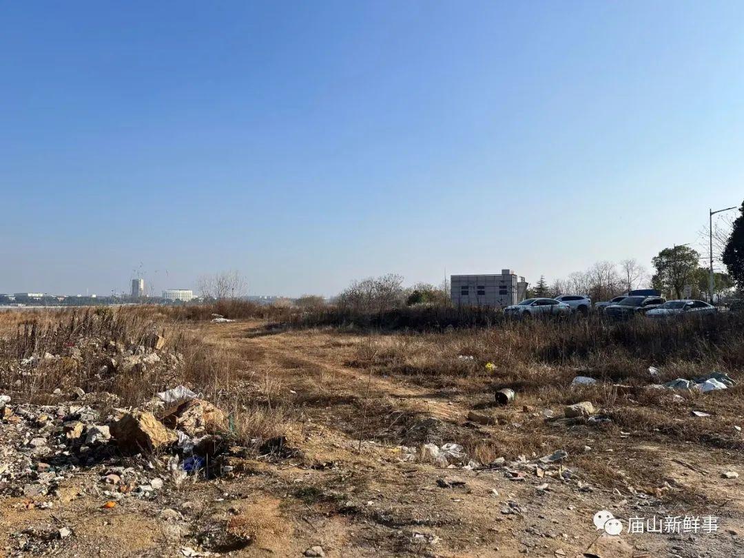 江夏这里是否规划环湖公园?能否建设湖边绿道?消息来了! 江夏这里是否规划环湖公园?能否建设湖边绿道?消息来了!