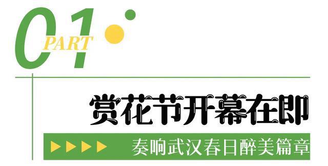 即将开幕!追风到江夏,只为这朵花…… 即将开幕!追风到江夏,只为这朵花……