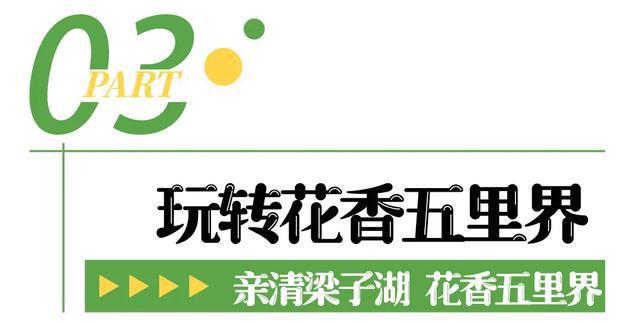 即将开幕!追风到江夏,只为这朵花…… 即将开幕!追风到江夏,只为这朵花……