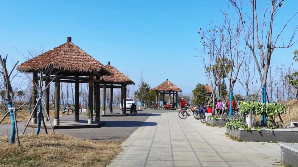 穿越武汉江夏郊区百里湖泊,骑行绿道边这条水上公路,风景秀美 穿越武汉江夏郊区百里湖泊,骑行绿道边这条水上公路,风景秀美